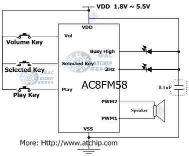 �����T(m��n)�58������(l��)IC�Ӿ��·
